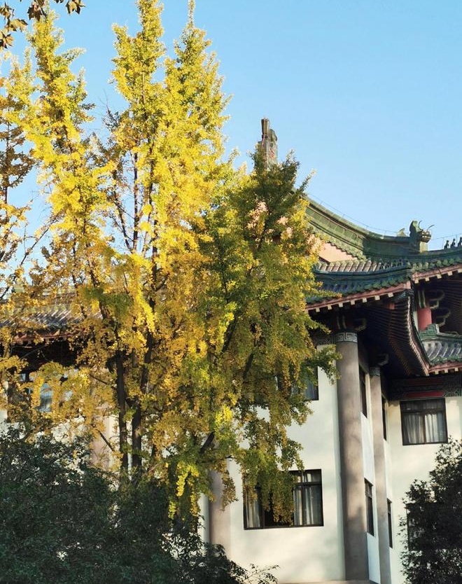 1648717164306190.jpg 南8_看图王.jpg