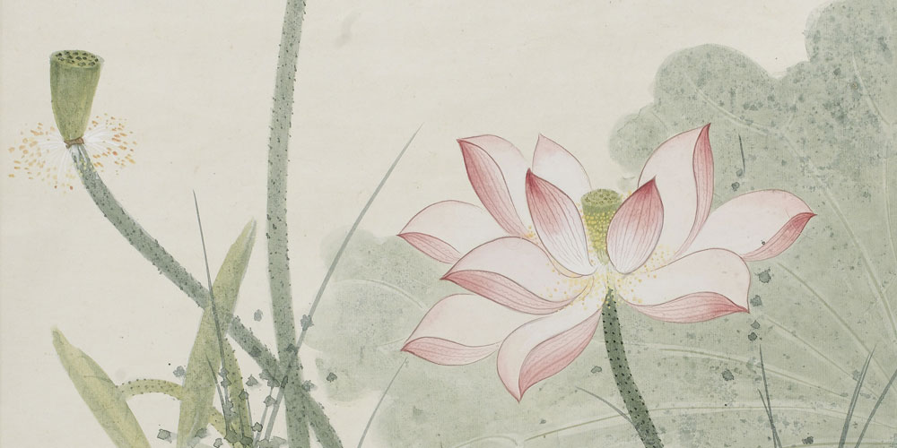 荷花小鸟图.jpg